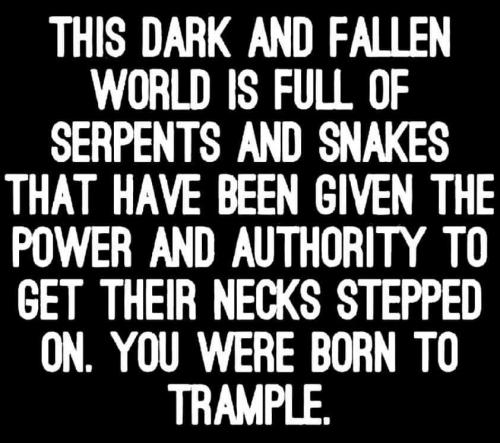 08:01:56 GMT-0500 (EST)