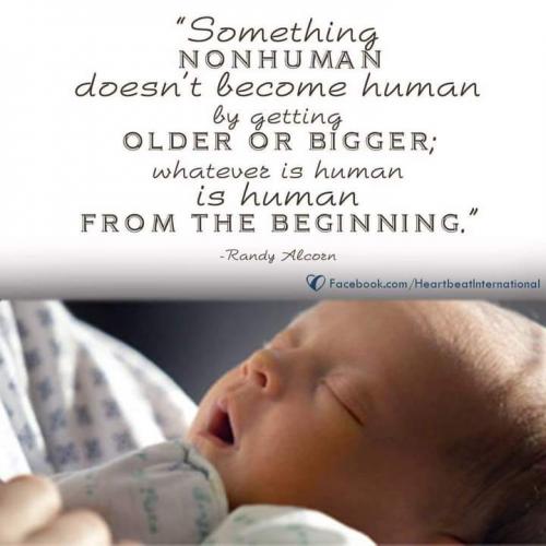 11:22:01 GMT-0500 (EST)