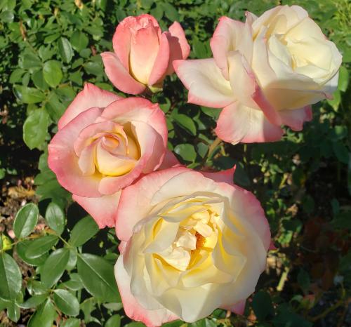 22:17:31 GMT-0500 (EST)