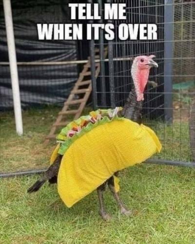 07:18:50 GMT-0500 (EST).image