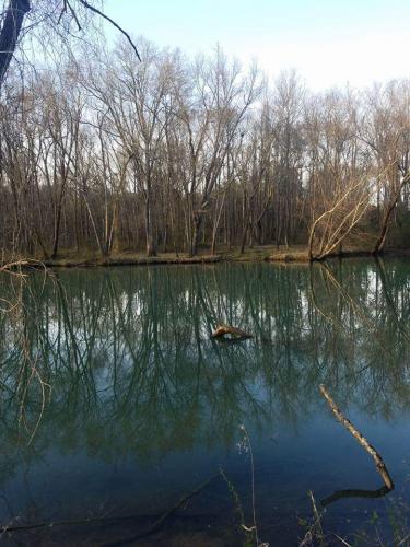 09:57:11 GMT-0600 (CST)