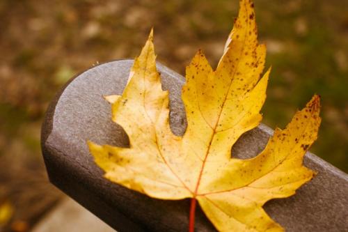 12:37:21 GMT-0500 (EST).image