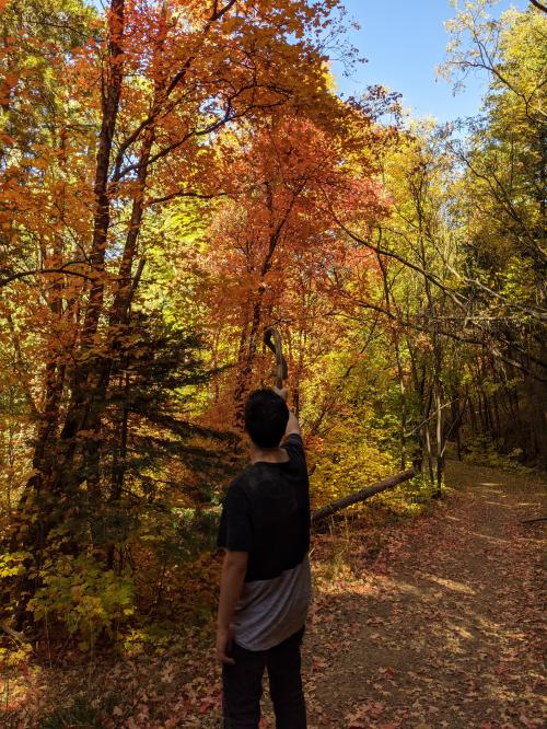 17:07:20 GMT-0700 (MST)