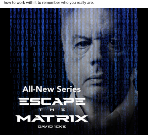 Screen Shot 2020-11-11 at 2.43.47 PM