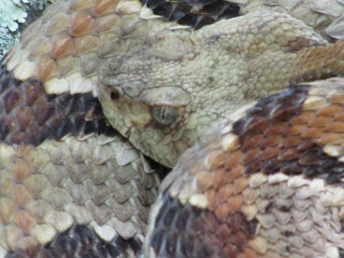 09:51:03 GMT-0600 (CST)