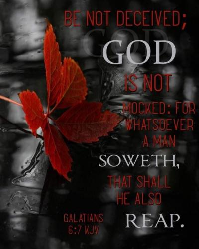 10:49:30 GMT-0600 (CST)