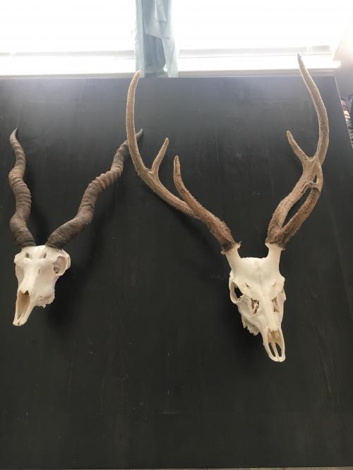 22:01:38 GMT-0600 (CST).image