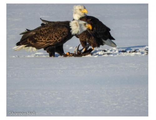 19:58:51 GMT-0600 (CST)