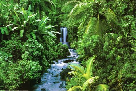 rainforest-waterfall-art-poster-print
