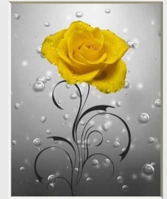 122325355_651816152361514_5704386424496177425_n