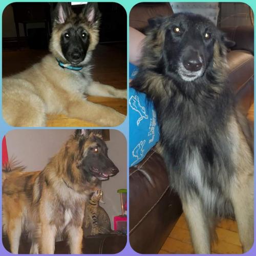 20:08:47 GMT-0600 (CST)