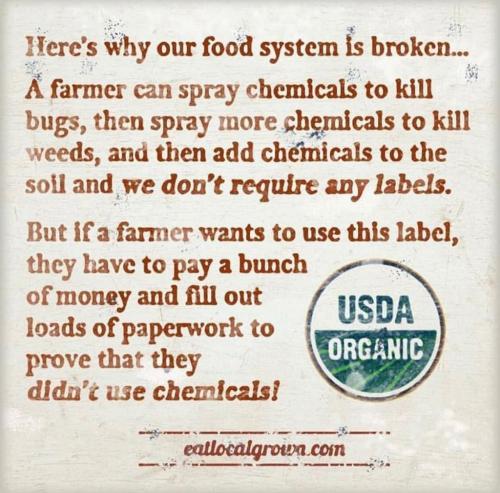 19:50:32 GMT+1000 (AEST)