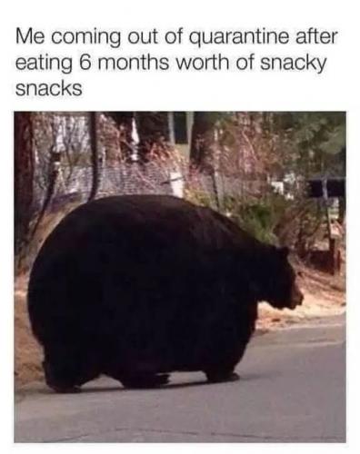 124975912_10164089085345618_930900938597387072_n