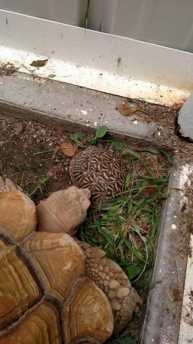 16:14:31 GMT-0600 (CST)