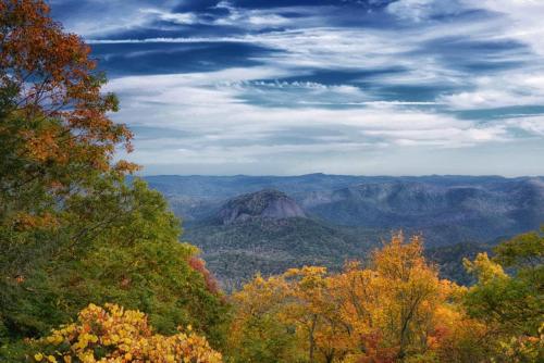 E6C84617-7F55-4D35-B573-CC9C789EFDA8