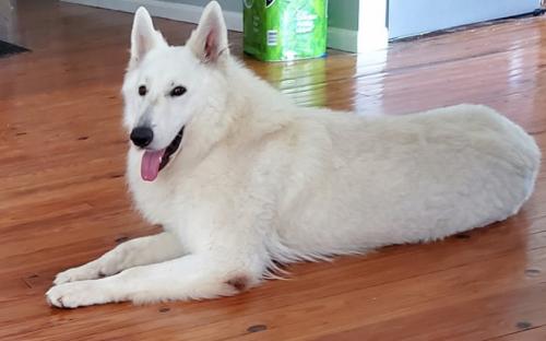 08:20:49 GMT-0500 (EST)