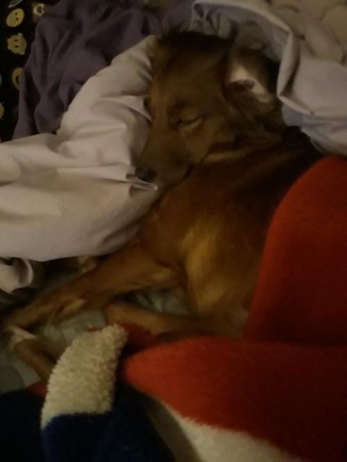 23:13:10 GMT-0600 (CST)