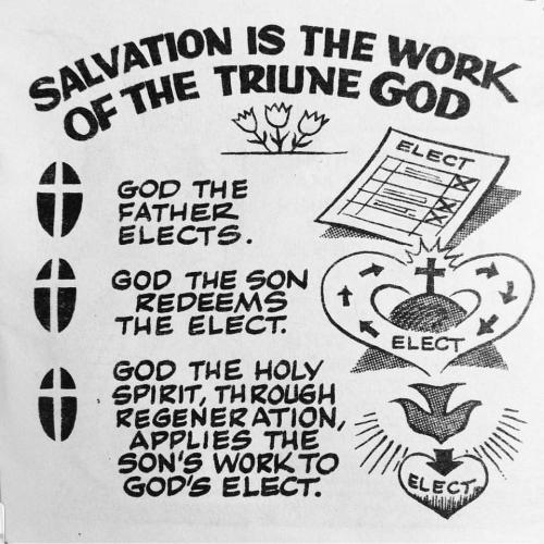 45716257_10216144195591183_1621200839701954560_n