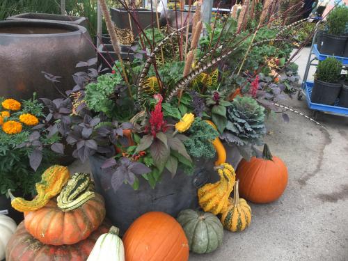 17:40:26 GMT-0600 (CST).image