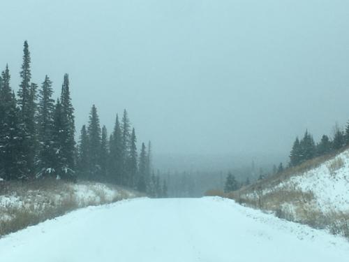 15:19:10 GMT-0700 (MST).image