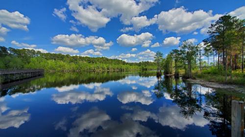 21:22:25 GMT-0500 (EST)