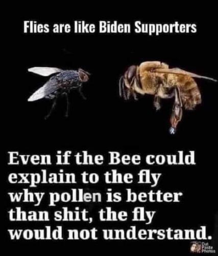 08:08:08 GMT-0600 (CST)