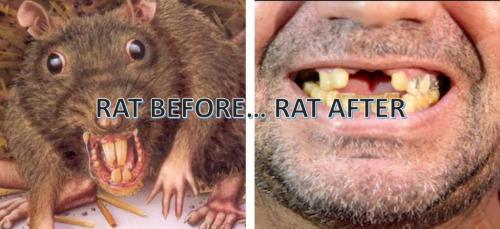 rAT BEFORE AND AFTER