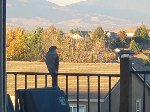 07:04:38 GMT-0800 (PST)