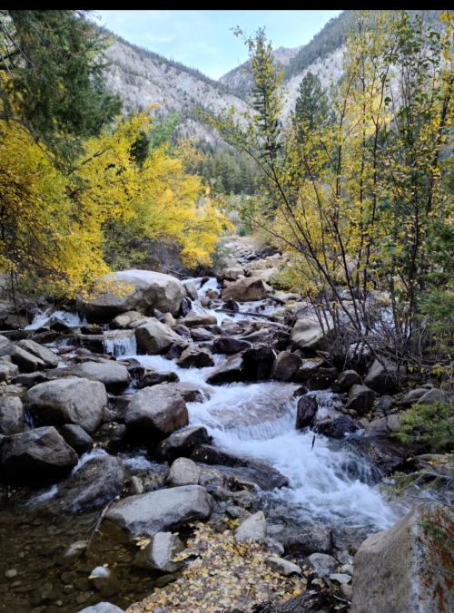 08:03:37 GMT-0700 (MST)