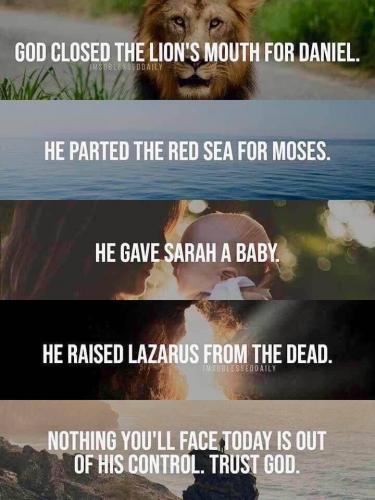 123337819_10157390571886669_203358790558528286_n