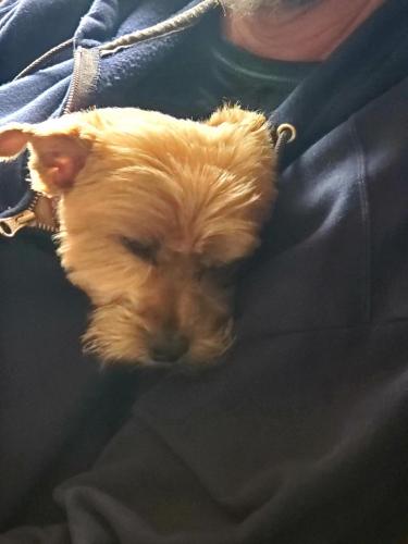 16:36:47 GMT-0800 (PST)