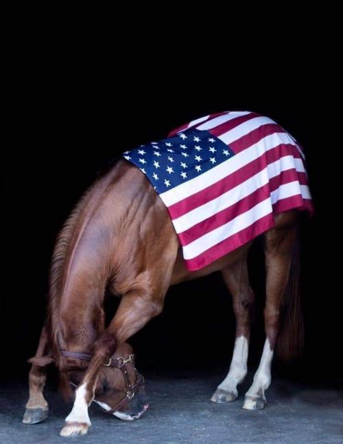 06:52:48 GMT-0500 (EST)