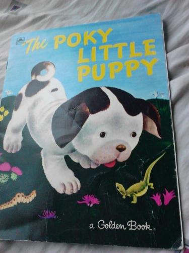 39B33FC1-A8BC-4D1F-A6F9-D96386012211