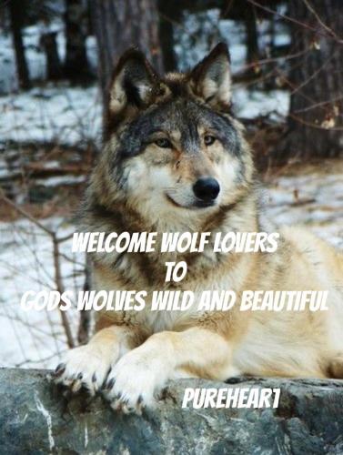 20:45:35 GMT-0600 (CST).image