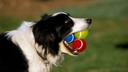 06:07:32 GMT+0100 (WAT).image