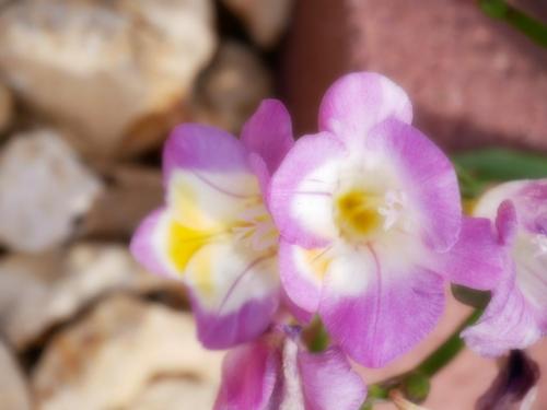 15:13:39 GMT-0800 (PST)