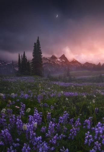 tumblr_ojc8mf41xv1szm930o1_540