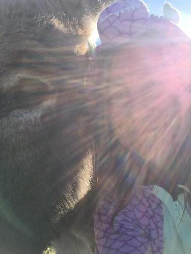 17:24:15 GMT-0800 (PST).image