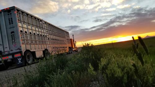 07:31:08 GMT-0700 (MST)