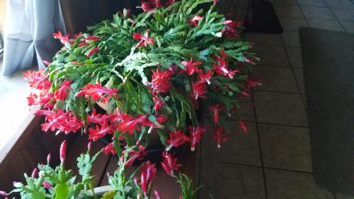 06:32:02 GMT-0600 (CST)