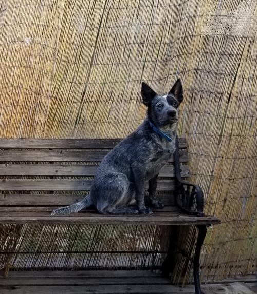 13:24:34 GMT-0700 (MST)