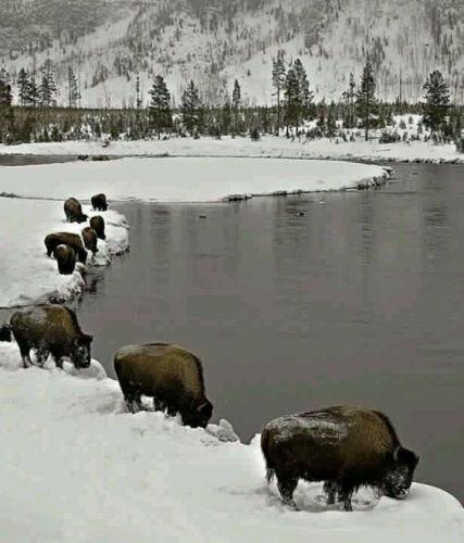 125458344_3799008253467322_5804748533534320964_n