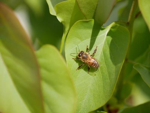 15:13:39 GMT-0800 (PST)