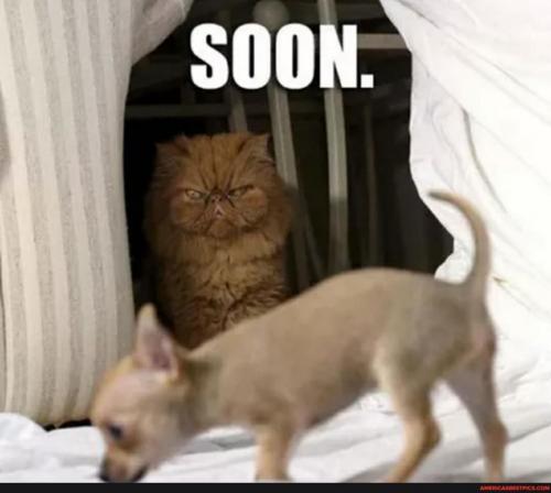 21:25:21 GMT-0600 (CST).image