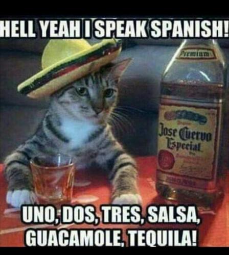 Screenshot_2020-10-03-06-33-02-1