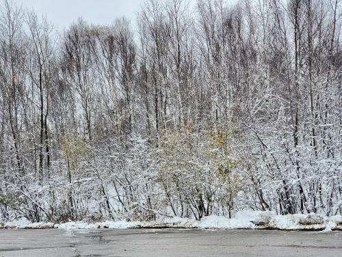 11:37:56 GMT-0600 (CST)