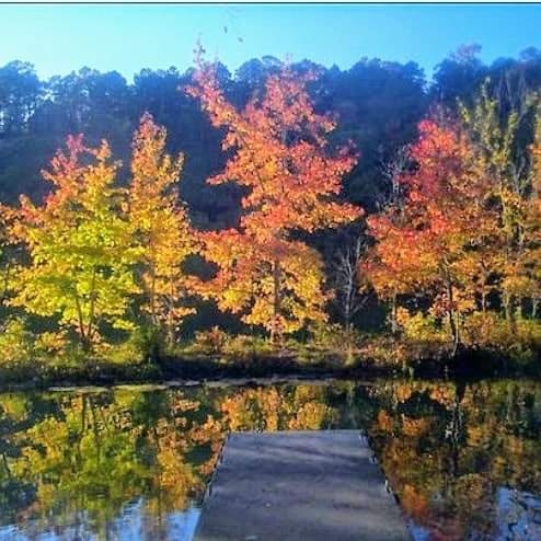 21:31:52 GMT-0600 (CST)