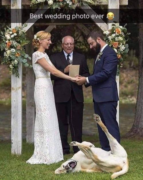 best wedding photo ever