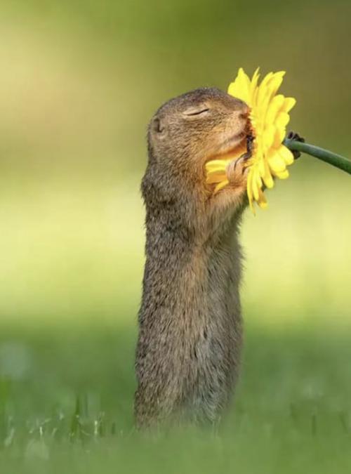 16:29:12 GMT-0700 (MST).image