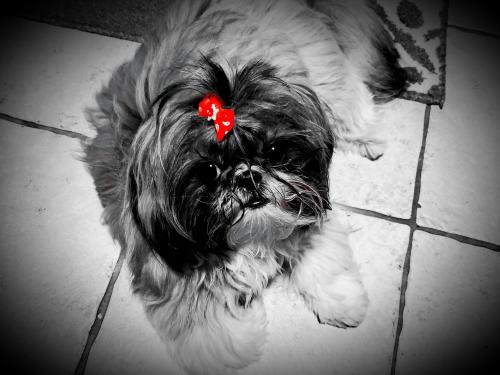 00:25:24 GMT-0500 (EST)